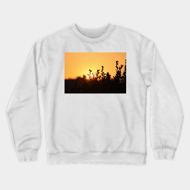 Rising Sun Crewneck Sweatshirt by Cynthia48